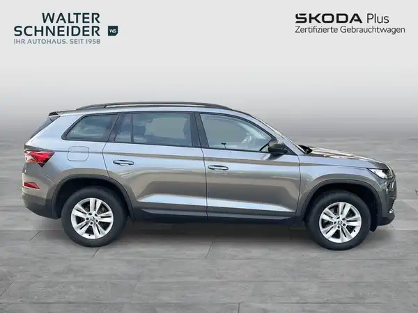 Das Bild zeigt einen grauen ŠKODA KODIAQ aus der Seitenansicht. Im oberen Bereich sind die Logos des Händlers "WALTER SCHNEIDER" und "SKODA Plus" zu sehen.