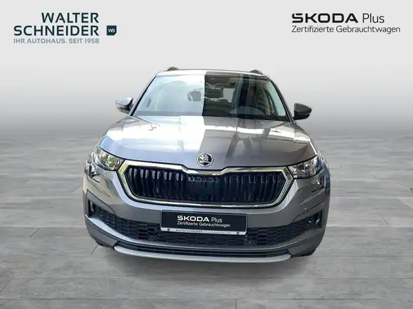 Das Bild zeigt einen grauen ŠKODA KODIAQ frontal aufgenommen. Es enthält das Händlerlogo "WALTER SCHNEIDER" sowie die Aufschrift "SKODA Plus".