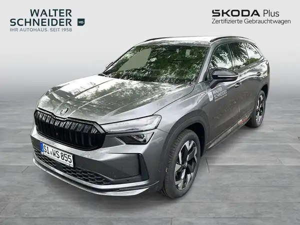 ŠKODA KODIAQ (1/19)
