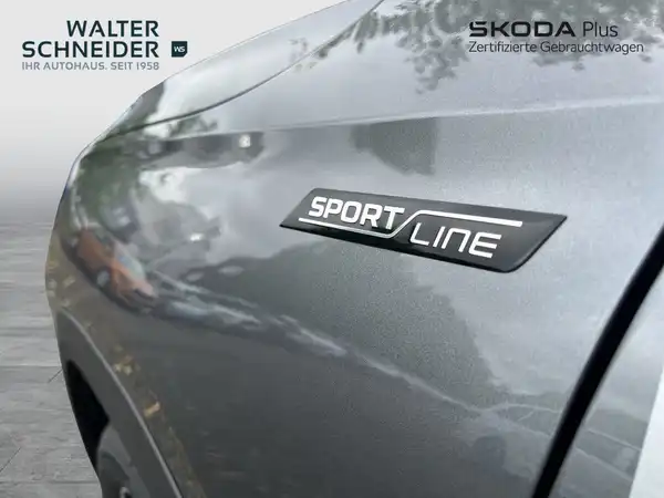 ŠKODA KODIAQ (7/19)