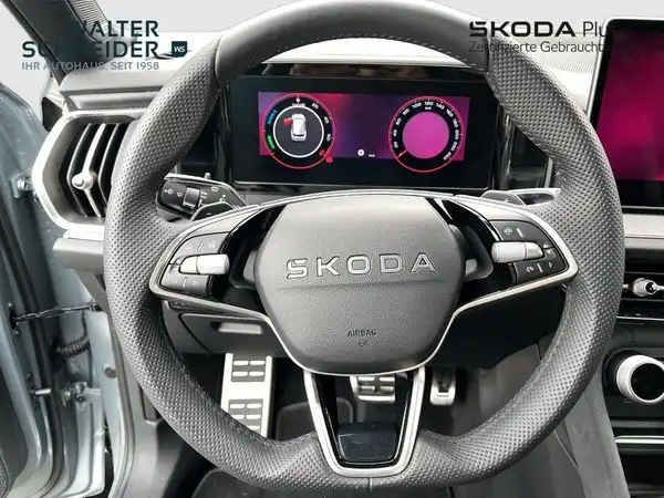 ŠKODA KODIAQ (14/20)