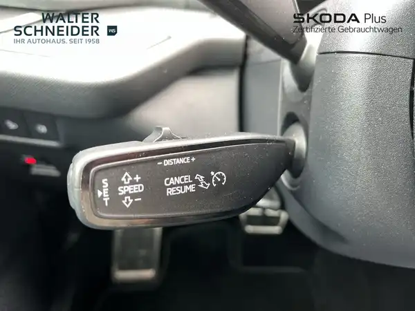 ŠKODA KODIAQ (15/20)