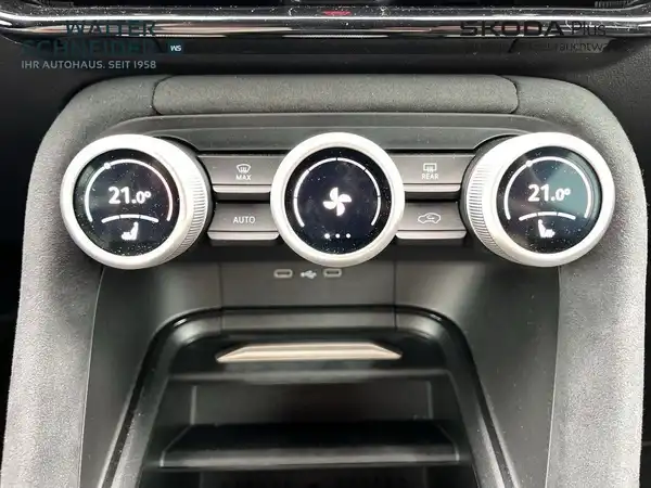 ŠKODA KODIAQ (16/20)