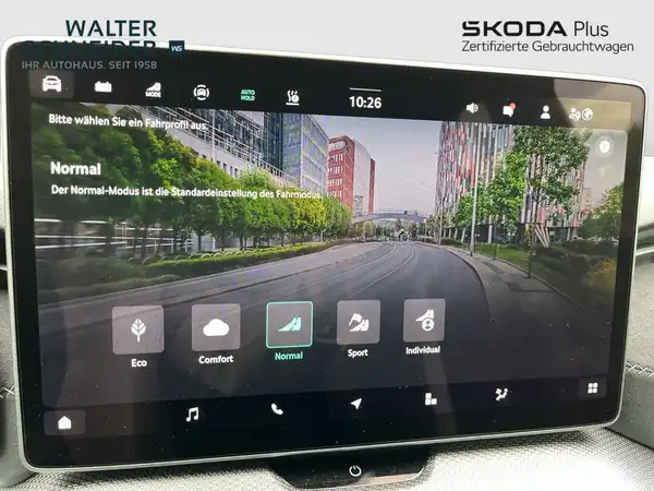 ŠKODA KODIAQ (18/20)
