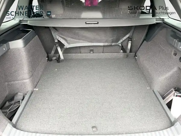ŠKODA KODIAQ (20/20)