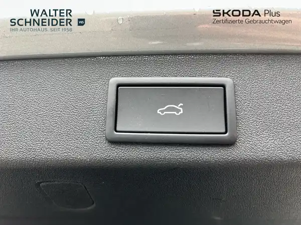 ŠKODA KODIAQ (23/24)