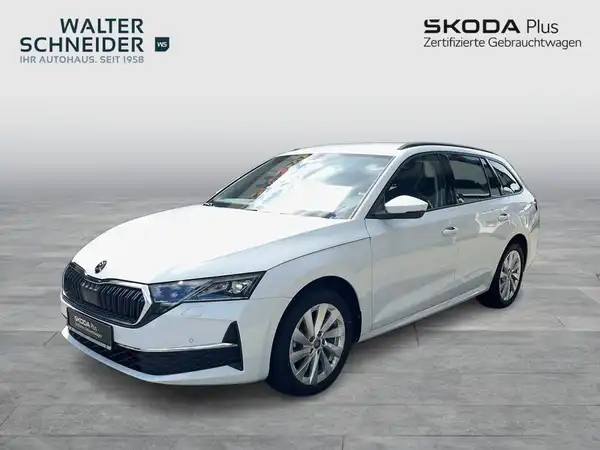 Das Bild zeigt einen weißen ŠKODA OCTAVIA von der Seite. Es enthält das Händlersymbol von Walter Schneider und die Aufschrift SKODA Plus. Es handelt sich um ein Fahrzeugbild.