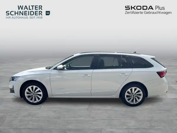 Seitenansicht eines weißen ŠKODA OCTAVIA mit einem Händlerlogo von "Walter Schneider" und einer Markierung für "SKODA Plus".