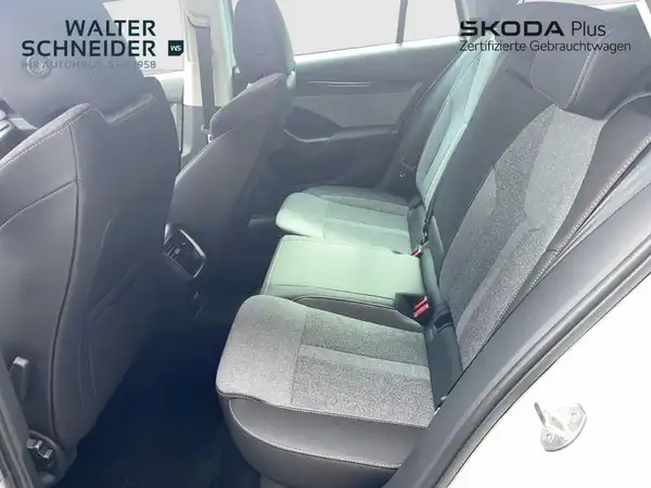 Das Bild zeigt die Rückbank eines ŠKODA OCTAVIA von innen mit grauem Stoffpolsterung. Oben sind die Händlerlogos WALTER SCHNEIDER und SKODA Plus eingeblendet.