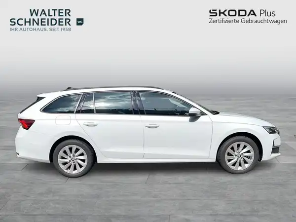 Das Bild zeigt einen weißen ŠKODA OCTAVIA von der Seite. Es enthält das Händlerlogo 'WALTER SCHNEIDER' oben links und die Information 'SKODA Plus' oben rechts.