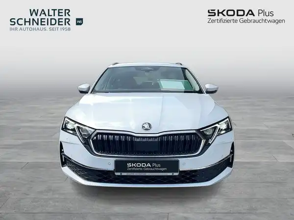 Das Bild zeigt einen weißen ŠKODA OCTAVIA von vorne. Es enthält das Händlerlogo 'Walter Schneider' und 'SKODA Plus'. Es handelt sich um ein Fahrzeugbild.
