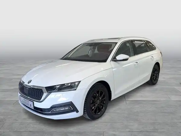 Das Bild zeigt einen weißen ŠKODA OCTAVIA in Seitenansicht, mit Händlerlogo von Walter Schneider.