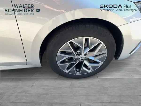 ŠKODA OCTAVIA (6/21)