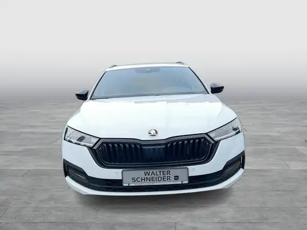 ŠKODA OCTAVIA (8/17)