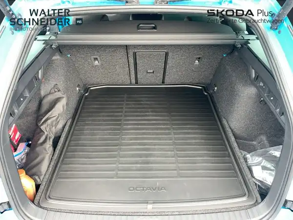 ŠKODA OCTAVIA RS (13/19)