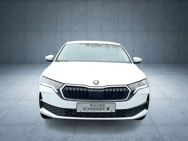ŠKODA OCTAVIA (8/18)