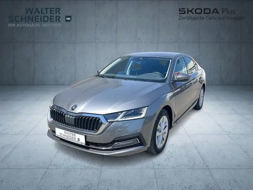 Das Bild zeigt einen ŠKODA OCTAVIA in grauer Farbe von vorne. Es ist ein Fahrzeugbild mit einem Händlerlogo und markanten Texteinblendungen.