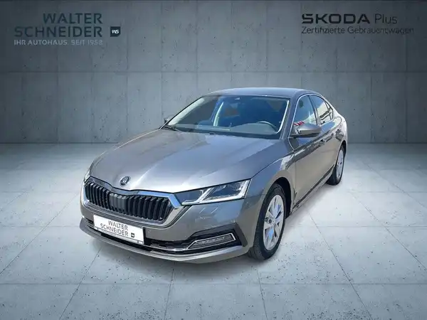 Das Bild zeigt einen ŠKODA OCTAVIA in grauer Farbe von vorne. Es ist ein Fahrzeugbild mit einem Händlerlogo und markanten Texteinblendungen.