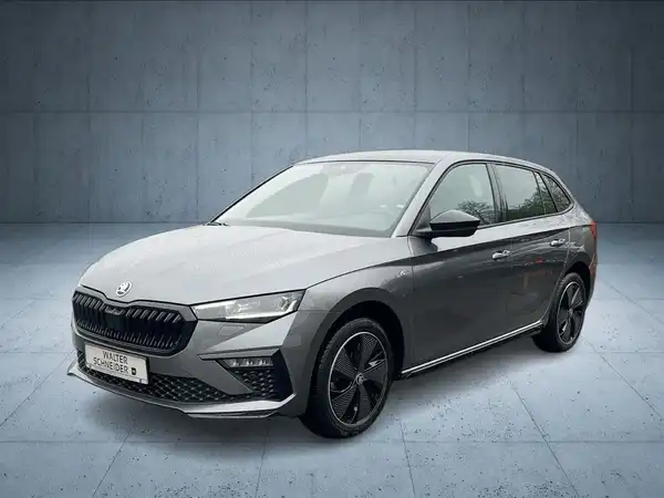 Das Bild zeigt einen grauen ŠKODA SCALA von der Seite, mit dem Händlerlogo von Walter Schneider und weiteren Markenlogis im unteren Bereich.