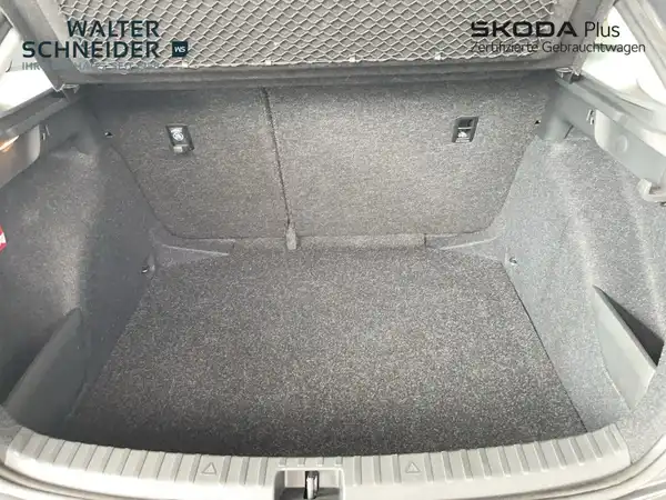 ŠKODA SCALA (10/21)