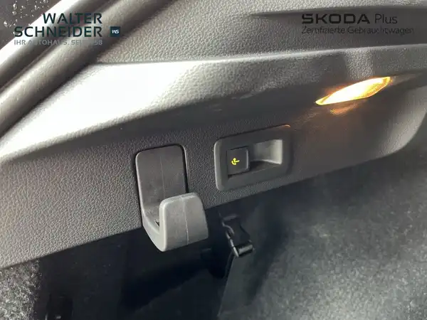 ŠKODA SCALA (11/21)