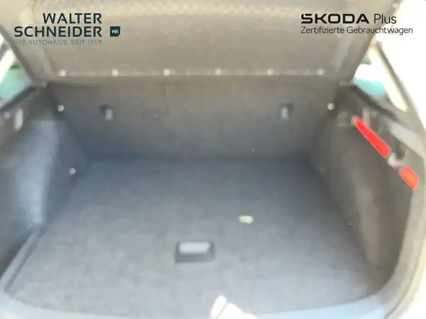 ŠKODA SCALA (11/21)