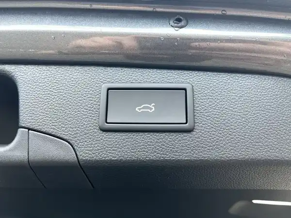 Das Bild zeigt eine Innenaufnahme des Fahrzeugs, mit einem schwarzen Armaturenbrett und einem Knopf mit einem Kaninchen-Symbol.