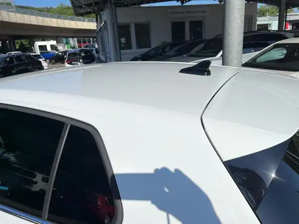 VW GOLF (13/22)