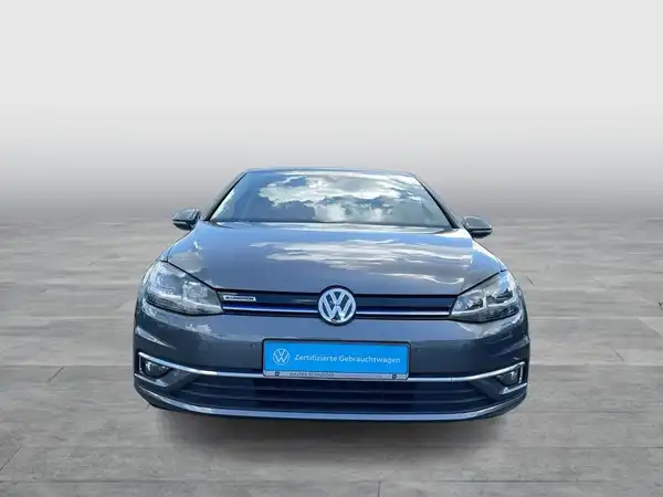 VW GOLF (8/19)
