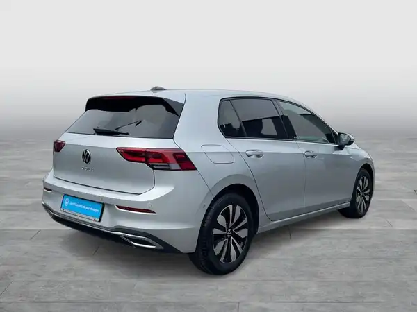 Das Bild zeigt einen VW Golf in Silber, aufgenommen von hinten.