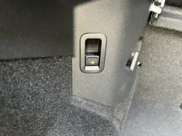 VW GOLF GTI (10/21)