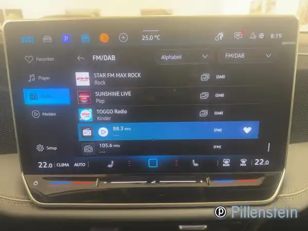 VW PASSAT (13/19)