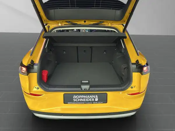 VW T-ROC (16/18)