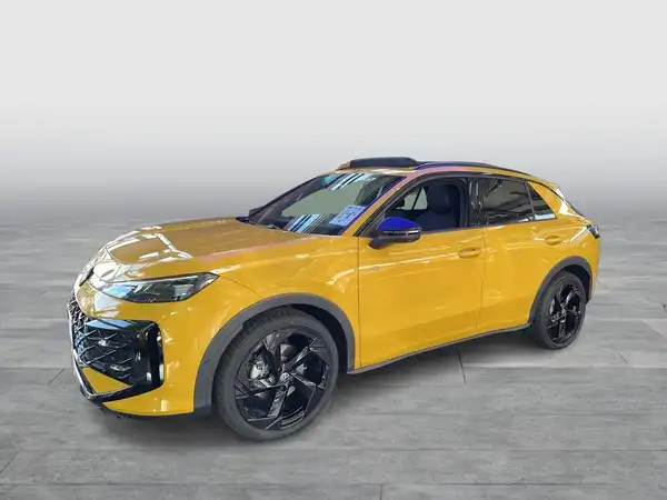 VW T-ROC (1/17)