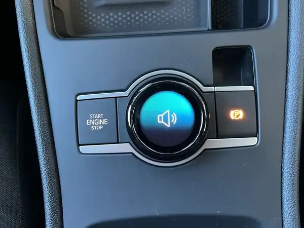 VW T-ROC (18/25)