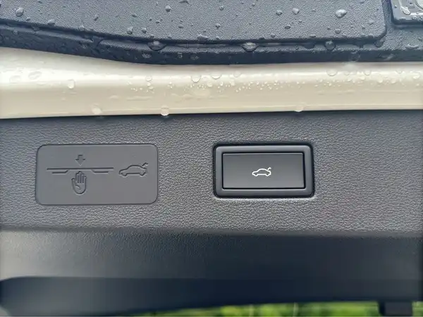 VW T-ROC (19/19)