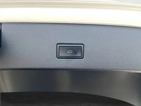 VW T-ROC (14/28)