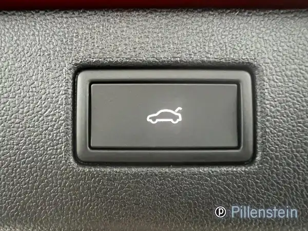VW T-ROC (13/15)