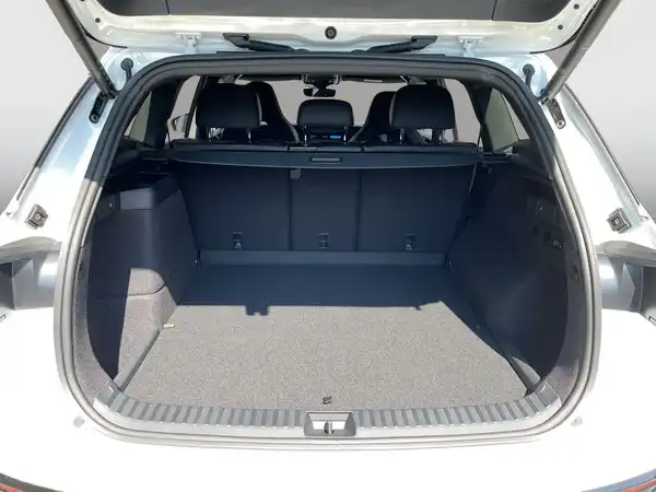 VW TAYRON (13/19)