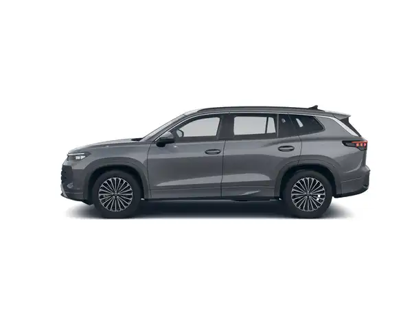 VW TAYRON (6/12)