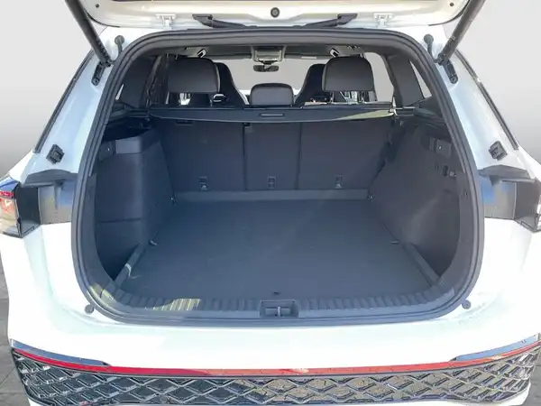VW TAYRON (13/21)