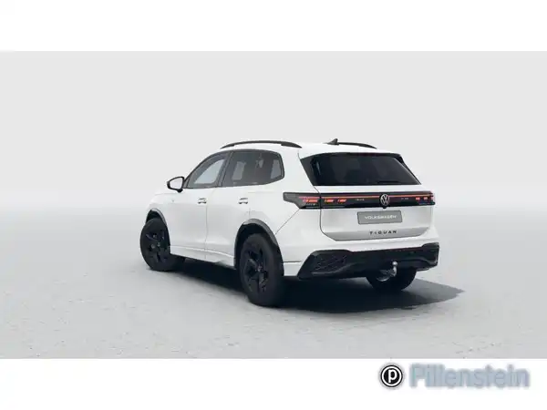 VW TIGUAN (10/30)