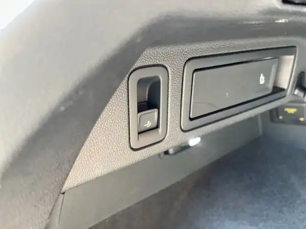VW TIGUAN (12/22)