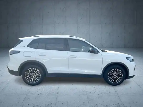 VW TIGUAN (6/22)