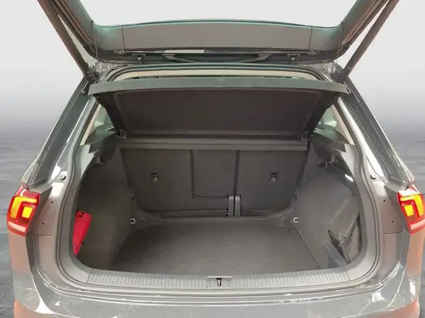 VW TIGUAN (14/15)