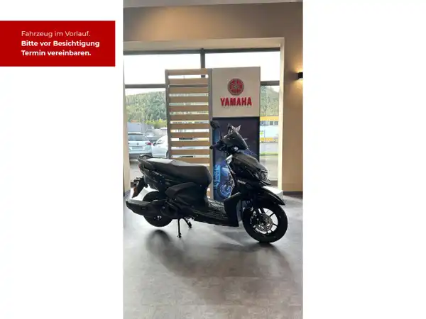 YAMAHA RAYZR (1/6)